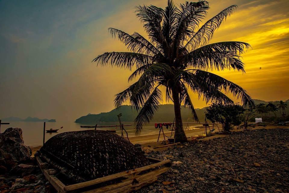 Woodstock Beach Camp Hien Hao Esterno foto